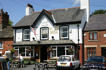White Bull