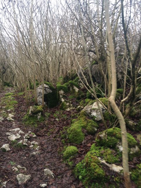 Limestone lined paths