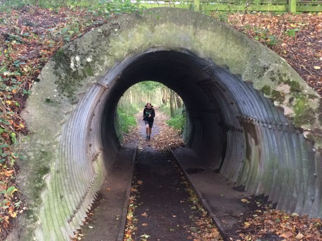 The light at the end of the tunnel