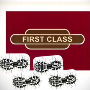 First Class Stomp